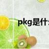 pkg是什么單位的縮寫（pkghost）