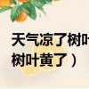 天氣涼了樹葉黃了仿寫句子一年級（天氣涼了樹葉黃了）