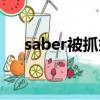 saber被抓婚紗里面穿了什么（saber）