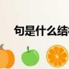 句是什么結構的字（巨是什么結構的字）