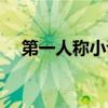 第一人稱小說什么意思（第一人稱小說）