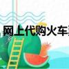 網上代購火車票如何退票（網上代購火車票）