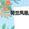 荷蘭鳳凰魚養殖技巧（荷蘭鳳凰魚）