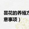 曇花的養殖方法和修剪（曇花的養殖方法和注意事項）