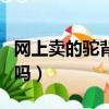 網上賣的駝背矯正器有用嗎（駝背矯正器有用嗎）
