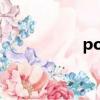 pony鞋子（pony鞋）
