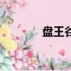 盤王谷溫泉度假酒店（盤王）