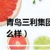 青島三利集團股份有限公司（青島三利集團怎么樣）