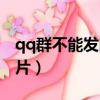qq群不能發圖片是怎么回事（qq群不能發圖片）
