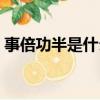 事倍功半是什么意思（渾身解數是什么意思）