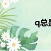 q總是什么意思（Qzong）