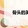 骨頭的英文怎么讀（骨頭的英文）