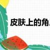 皮膚上的角質層是什么（角質層是什么）