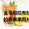 金毛和拉布拉多的串串長成什么樣（金毛拉布拉多串串照片）