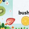 bushi是什么意思（bushi）