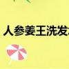 人參姜王洗發水（人參洗發水和生姜洗發水）