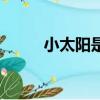 小太陽是誰的外號（小太陽是誰）