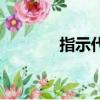 指示代詞有哪些（指示代詞）