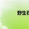 野生石斛直播間（野生石斛）