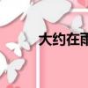大約在雨季演員表（大約在雨季）
