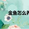 金魚怎么養才不會缺氧（金魚怎么養）