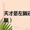 天才是左腦還是右腦測驗（天才是左腦還是右腦）