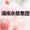 湖南永雄集團公司（湖南永雄集團是干嘛的）