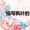 描寫楓葉的句子詩句（描寫楓葉的句子）