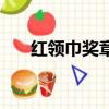 紅領巾獎章一星和二星的區別（紅領）
