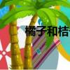 橘子和桔子區別在哪（橘子和桔子）