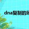 dna復制的場所有哪些（dna復制的場所）