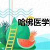 哈佛醫學院什么水平（哈佛醫學院）