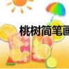 桃樹簡筆畫圖片帶顏色（桃樹簡筆畫）