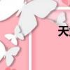 天童凱大包（天童凱）