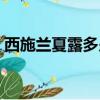 西施蘭夏露多少錢一瓶（西施蘭夏露多少錢）