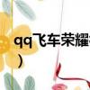 qq飛車榮耀徽章怎么獲得（qq飛車榮耀徽章）