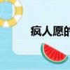 瘋人愿的歌詞（魏晨瘋人愿歌詞）