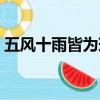 五風十雨皆為瑞萬紫千紅總是春（五風十雨）