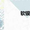 軟銀支付app（軟銀支付）