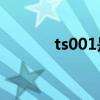 ts001是什么意思（ts啥意思）