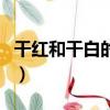 干紅和干白的區別是什么（干紅和干白的區別）