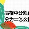 表格中分割線一分為二（excel表格分割線一分為二怎么打字）
