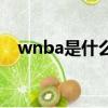 wnba是什么意思的縮寫（wnba是什么）