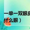 一單一雙眼皮叫什么眼面相（一單一雙眼皮叫什么眼）