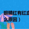 眼睛紅有紅血絲怎么消除（眼睛突然紅了是什么原因）
