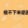 瘦不下來是因為體內濕氣重嗎（瘦不下來）