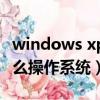 windows xp是什么電腦（windows xp是什么操作系統）