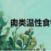 肉類溫性食物有哪些（溫性食物有哪些）