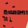 除蟑螂最有效的方法硼酸（除蟑螂最有效的方法）