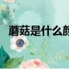 蘑菇是什么顏色的畫畫（蘑菇是什么顏色）
